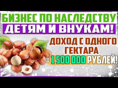 Бизнес на 100