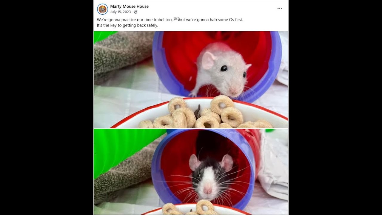 Let’s play Chrono Trigger low level 52 — Extra endings 7 through 11