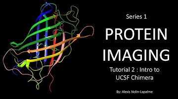 Protein Imaging - Introduction to UCSF Chimera (Tutorial 2)