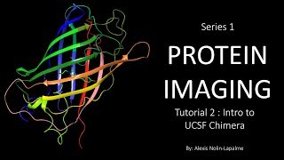 Protein Imaging - Introduction to UCSF Chimera (Tutorial 2)