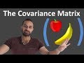 The Covariance Matrix : Data Science Basics