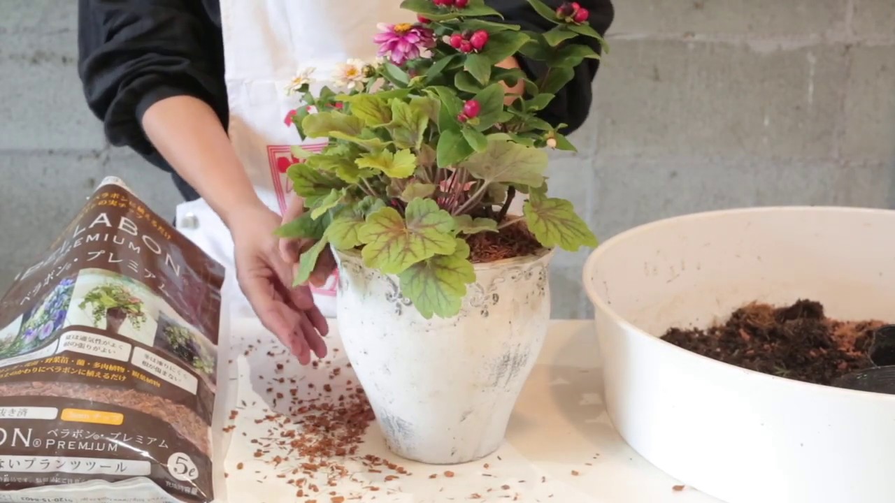 穴の空いていないガラスや器に植物を植える アトリエ華もみじ ブリコラージュフラワー