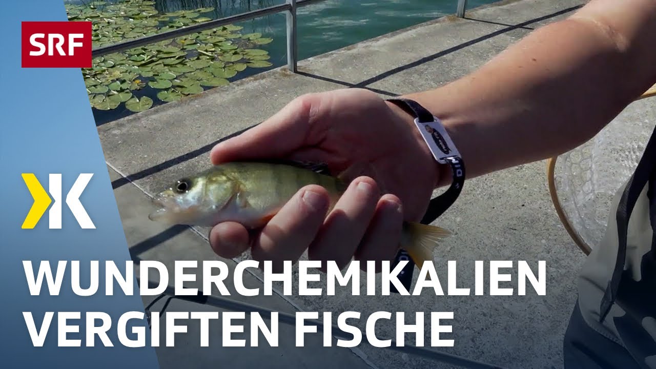 Was sind PFAS und wie gefährlich sind sie? | ProSieben.DasThema.