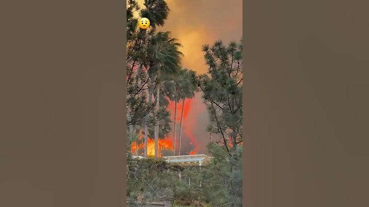 📹 Firefighters scramble to corral fast-moving wildfire in Pacific Palisades #losangeles #viralvideo