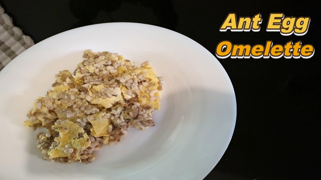 First Time Cooking & Eating Ant Larvae🇲🇽