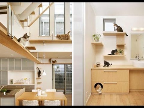 Pet Room Ideas | the cutest pet room ideas youtube Pet Room Ideas | the cutest pet room ideas youtube