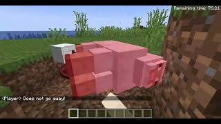My More Commands Mod (My Best Mod Ever)