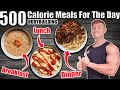 HEALTHY HIGH PROTEIN Meals Under 500 CALORIES! (Breakfast, Lunch &amp; Dinner)