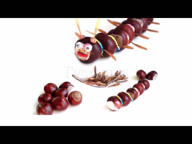 Поделки из каштанов.