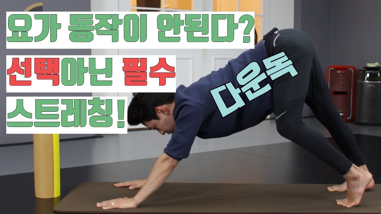 [다리찢기루틴#1] 요가 자세를 잘하는 방법은 스트레칭에 달려있다.