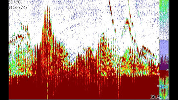 Simrad NSS16 Evo3S catching reef fish