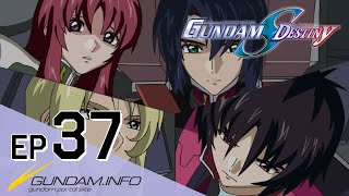 MOBILE SUIT GUNDAM SEED DESTINY HD REMASTER - #37: Thunder in the Dark (EN,HK,TW,CN,KR,FR,VN sub)