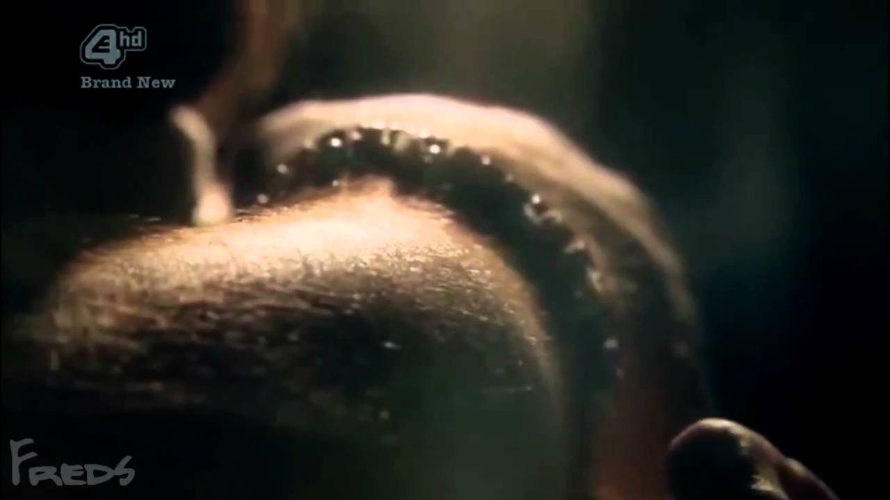 Freddie e Effy - With Me