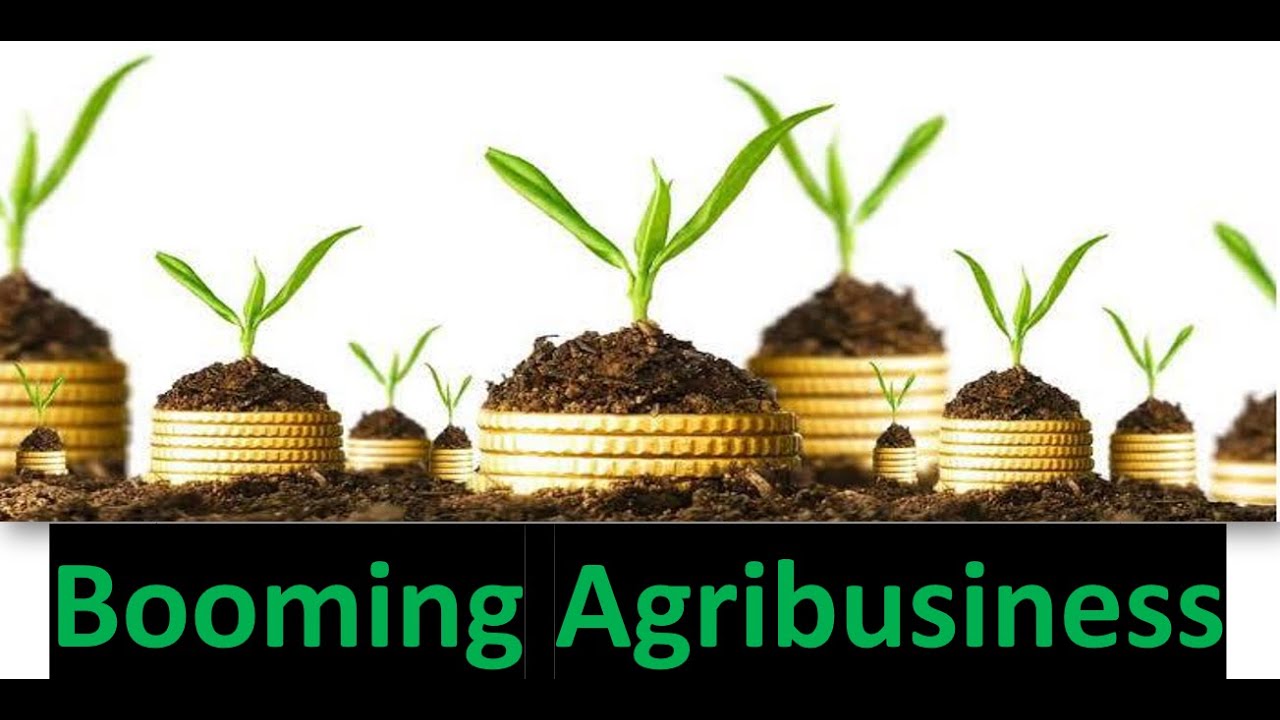 Agribusiness Management - Scope And Importance - YouTube