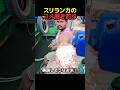 コメ撒き漁法
