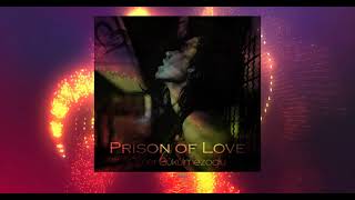 Prison Of Love (Original Mix) By Ömer Bükülmezoğlu - DeepShine Music Resimi