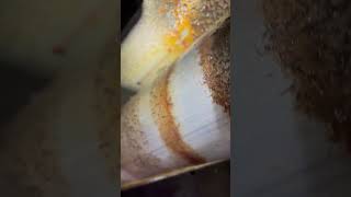 I HAVE NEVER SEEN A LEAK HERE BEFORE…… Profile