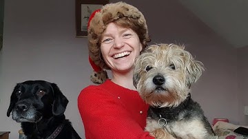 Thank You to Our Partners - Fintel Connect