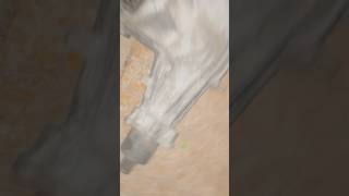 Another Busted Transfer Case…. #automobile #like #comment #subscribe #chevy #chevrolet #shorts