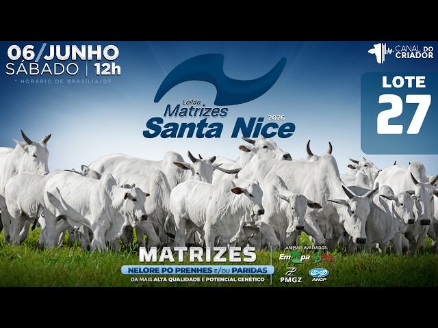 LOTE 27   GRI C1091