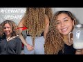 I Used Rice Water On My Hair For 1 Year And This Happened!