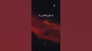 قرآن كريم - أيات بينات من سورة القصص - تلاوة عطرة لفضيلة الشيخ ريان المحيسني