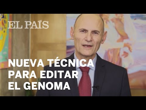 Una nueva técnica edita el genoma sin tocar los genes | Ciencia