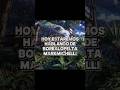 | Todo sobre Borealopelta #trex  #ankylosaurus #triceratops #shortvideo #dinosaur