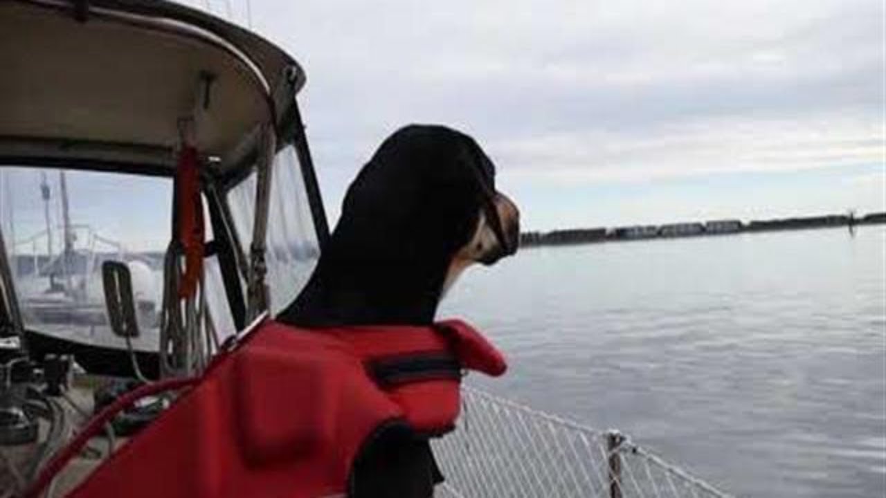 ⁣Sailing to Sucia Island - Thanksgiving weekend 2020