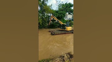 River normalization prevents flooding #shorts #shortvideo #excavator
