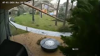 Hurricane Hits Okhta-Park Trees Down, No Injuries Reported