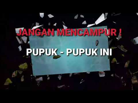 Video: Apakah KSP boraks?