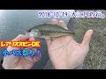 2018-10-19 大江川釣行。レアリススピンで小バス祭り。