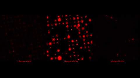 The lifespan of single bacterial cells assessed by microfluidics