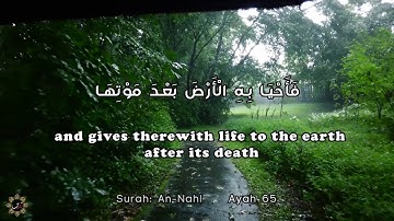 ❤️من سورة النحل 📖 |  والله أنزل من السماء ماء فأحيا به الأرض بعد موتها | احمد النفيس