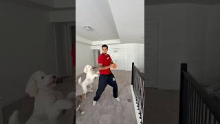 DUNKED ON BY MY DOG 🐶 🏀
