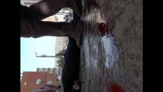 Download Cizre'de ölü ve yaralıları almaya giden heyete ateş açılması; Nusaybin Caddesi 20 Ocak 2016 Mp3 and Video Cizre'de ölü ve yaralıları almaya giden heyete ateş açılması; Nusaybin Caddesi 20 Ocak 2016