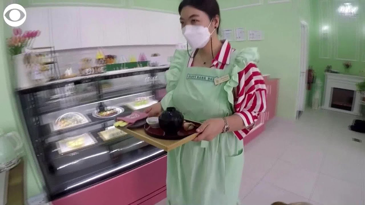 WEB EXTRA: Dog Café in Dubai Serves Healthy, Human-Grade Food