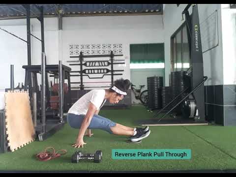Reverse Plank Pull Through (w/ gliders)