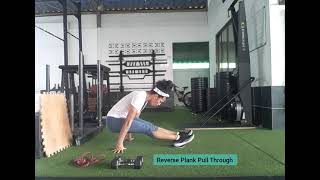 Reverse Plank Pull Through (w/ gliders)
