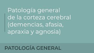 Patología general de la corteza cerebral (demencias, afasia, apraxia y agnosia) Julia Nieto Elizalde