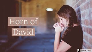 Horn of David // Instrumental Lyric Video // Robin Prijs