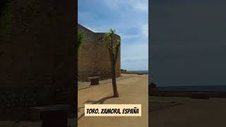 El "Mirador del Alcázar de Toro" es uno de los lugares emblemáticos de la localidad de Toro #lavega