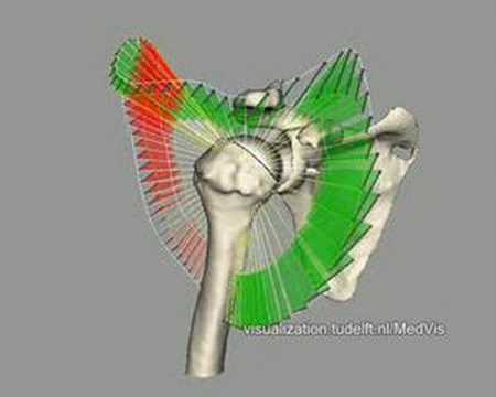 TU Delft Medical Visualization Demo Reel 1