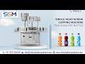 Automatic Capping Machine for Soda Pet Bottle | Screw Cap Sealing Machine Manufacturer