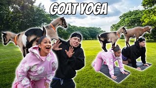 GOAT YOGA w/ B N S !