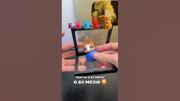 Thumbnail of Which cat will fit?🤔 #meow