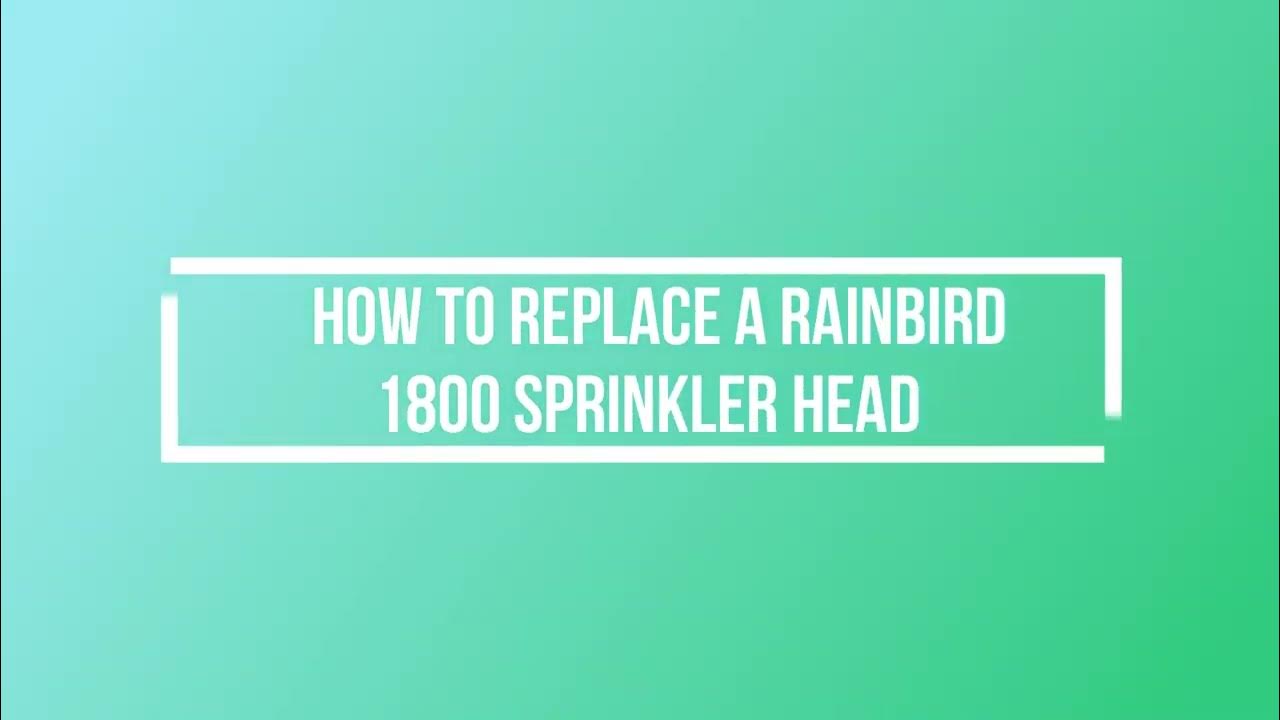 How to Replace a Rainbird 1800 Sprinkler Head Easy Steps rainbird 1800 sprinkler YouTube