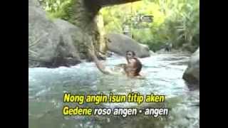 Vignette de la vidéo "Mendem Roso  Catur Arum [Cipt  Demi & Bakti  Tembang Banyuwangi Jaepong ]"