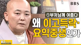 [#불교를다시묻다] ①불교의 핵심가치 '이고득락·요익중생'_부처님께 여쭙다 | 서광스님(동국대학교 불교학부 교수)